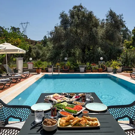 ベッド・アンド・ブレックファスト No 14 ギョジェク